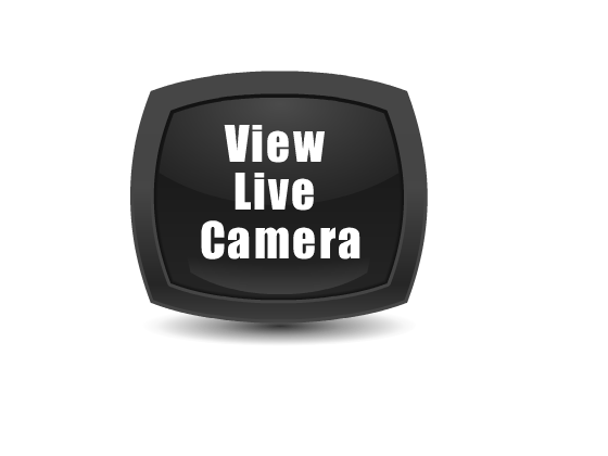 live camera feed